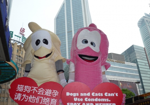 亚洲善待动物组织的避孕套现身上海街头