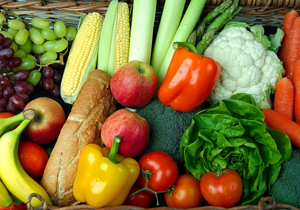 营养学家：以植物为主的饮食习惯有益孩子成长