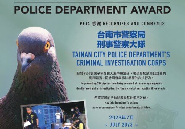 台南檢察官及警察局拯救賽鴿獲PETA頒獎