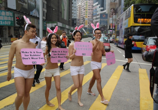 香港：没穿衣服的兔子
