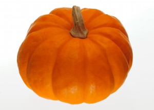 Pumpkin-300x214