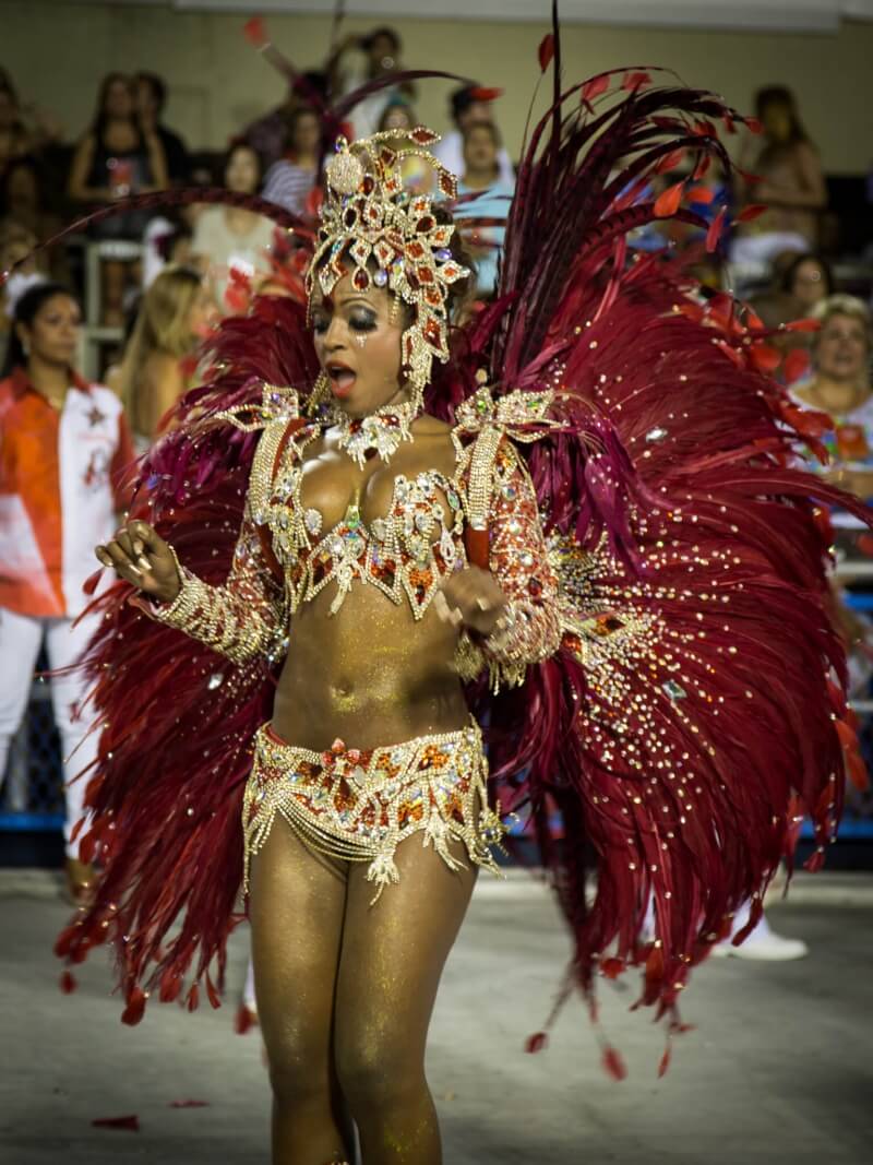 从鸵鸟身上扯下的羽毛会被用来装饰比如红磨坊歌舞厅和巴西里约嘉年华的服装道具。