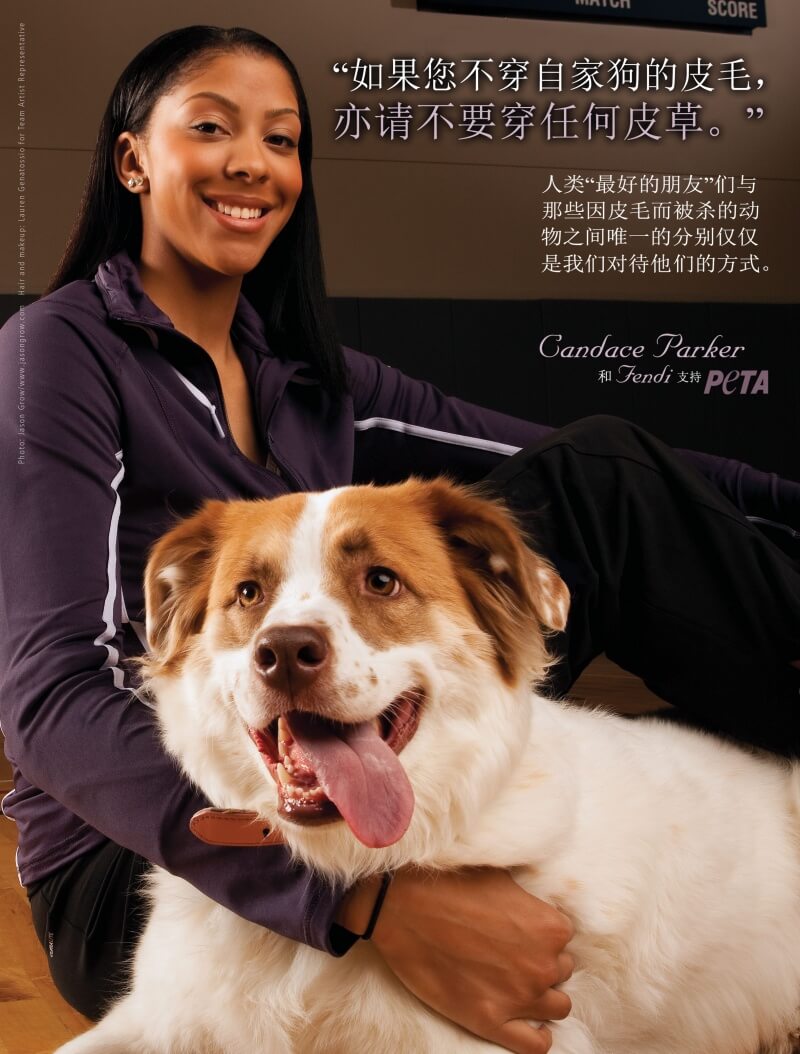 Candace Parker- If You Wouldn't Wear Your Dog, PAP SC- 300