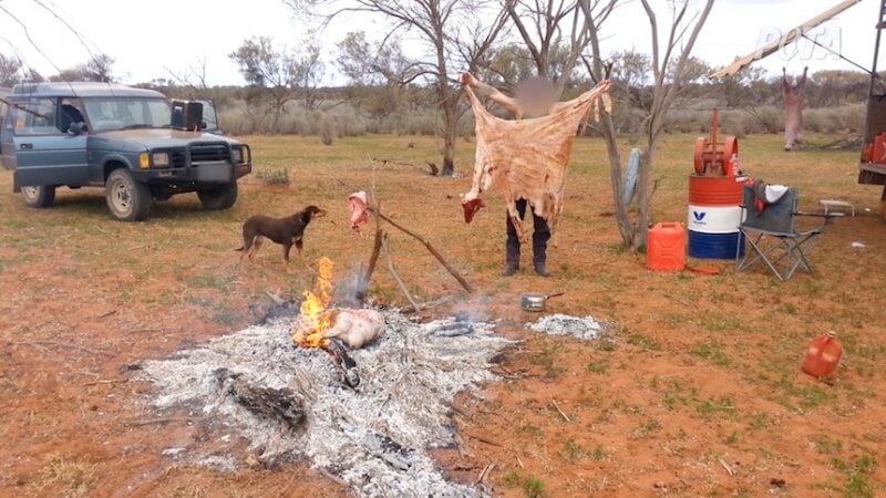 A worker tossed the sheep’s skin onto a fire while another worker joked, “That was my robe, cunt.”